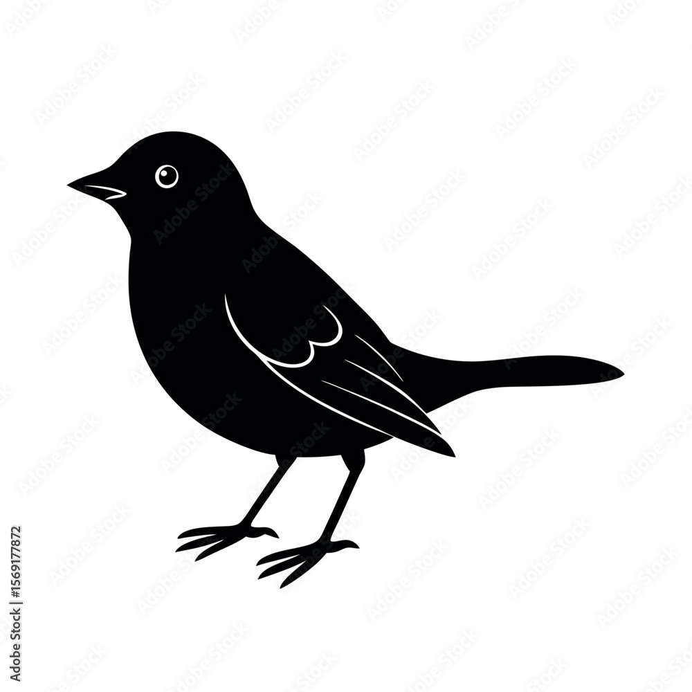 Fototapeta premium Verdin Small Desert Bird Clipart 