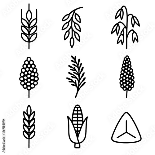 Organic Grain Icons. Outline style icons of Organic Grain Varieties: wheat ear silhouette, rice grain cluster silhouette, oats