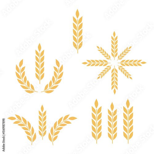 wheat ears vector