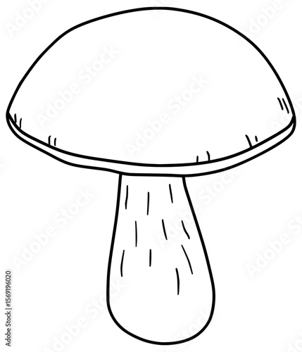 King Bolete Mushroom Vector Outline Line Art Drawing