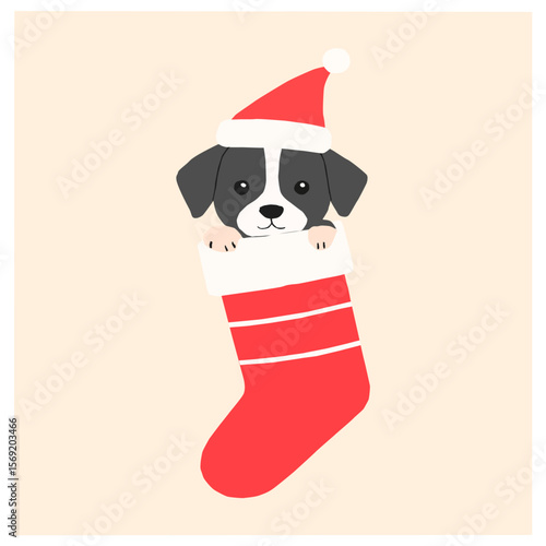 Adorable black and white puppy wearing a Santa hat, inside a Christmas stocking. A festive and cheerful vector illustration, perfect for Christmas designs and greeting cards.