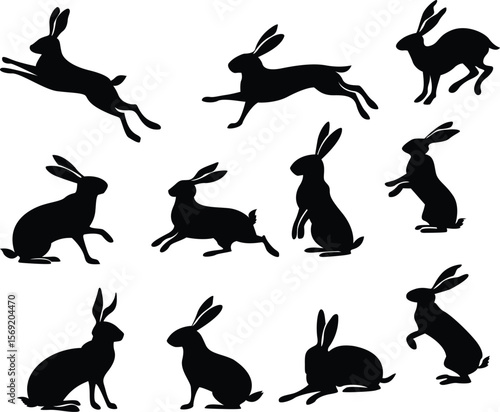Isolated domestic animal silhouette black and white rabbit