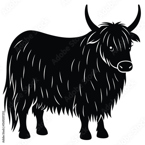 Yak Silhouette Vector Illustration with Shaggy Coat Highland Cattle Graphic Design
