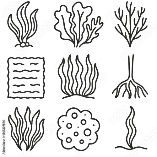 Seaweed Icons Collection. Outline style icons of Seaweed and Algae: floating kelp icon, sea lettuce, red algae strand, nori sheet,