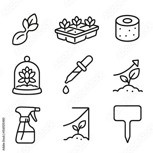 Succulent Propagation Icons. Line style icons of Succulent Propagation: succulent cutting, propagation tray, soil pellet, pebble