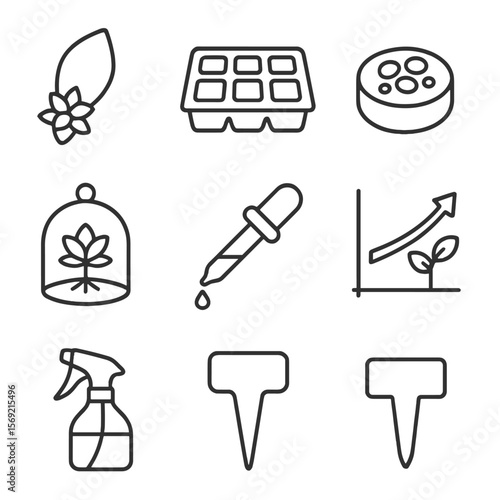 Succulent Propagation Icons. Line style icons of Succulent Propagation: succulent cutting, propagation tray, soil pellet, pebble
