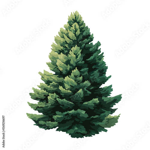 pine tree isolated in White Background, pine tree vector, Flat lay vector illustration
