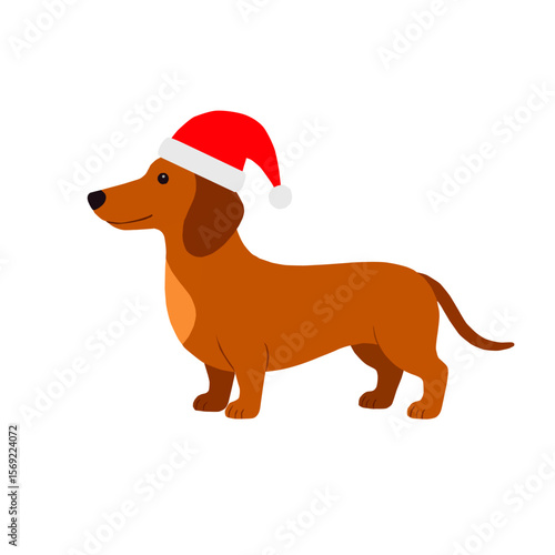 Cute dachshund wearing a Santa Claus hat. Christmas vector illustration on a white background. Ideal for holiday cards, pet-themed gifts, and festive seasonal designs.