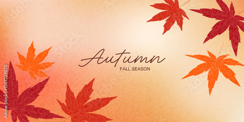 Autumn leaves of Japanese maple on a gradient soft background. Vector banner for your design. Abstract autumn landscape.