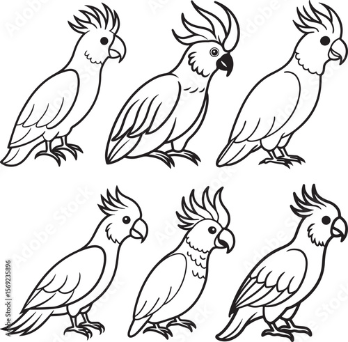 set of cockatoo bird line art, black outline, vector and illustration, coloring book page line art drawing