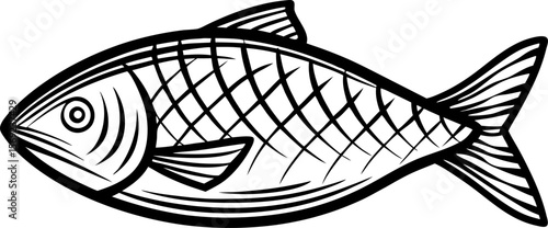 Hand drawn fish illustration, detailed line art of aquatic animal with scales and fins, marine wildlife sketch