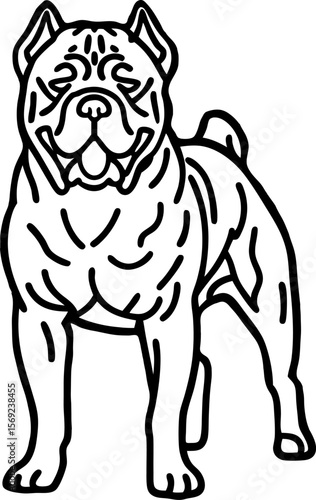 Strong muscular dog standing alert powerful breed with wrinkled face, cropped ears, short tail, confident posture