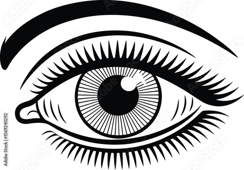 Eye Icon Illustration, Detailed Black and White Eye Icon with Eyelashes and Eyebrow