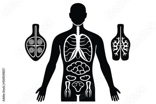 Human anatomy silhouette with internal organs and microscopic structures