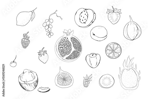 Sketch set fruits, hand drawn tropical fruits and berries. Sweet fresh sliced kiwi, peach and pomegranate, cute cherry and strawberry. Pear with leaves. Coconut slice and half figs.