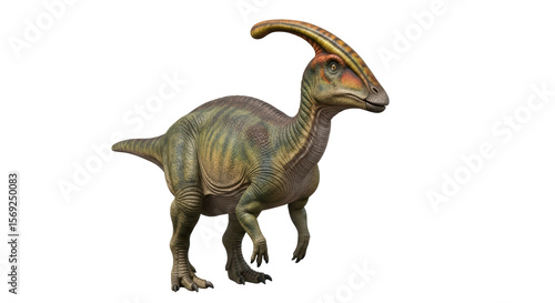 Fototapeta Naklejka Na Ścianę i Meble -  Isolated Parasaurolophus Dinosaur