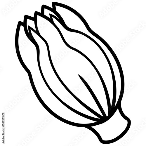 Endive  vegetable vector perfect for healthy food, farm, eco, and organic-themed digital design projects.