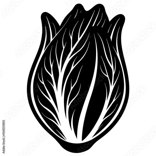 Endive  vegetable vector perfect for healthy food, farm, eco, and organic-themed digital design projects.