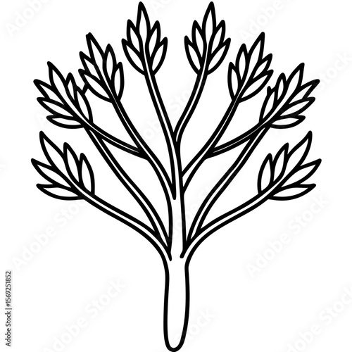 Fennel  vegetable vector perfect for healthy food, farm, eco, and organic-themed digital design projects.