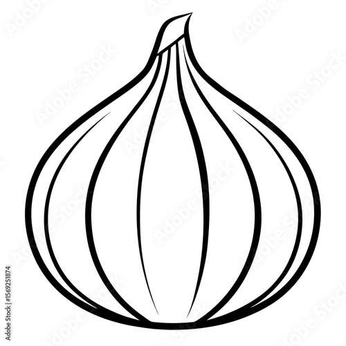 Garlic vegetable vector perfect for healthy food, farm, eco, and organic-themed digital design projects.