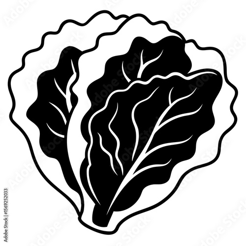 Lettuce vegetable vector perfect for healthy food, farm, eco, and organic-themed digital design projects.
  