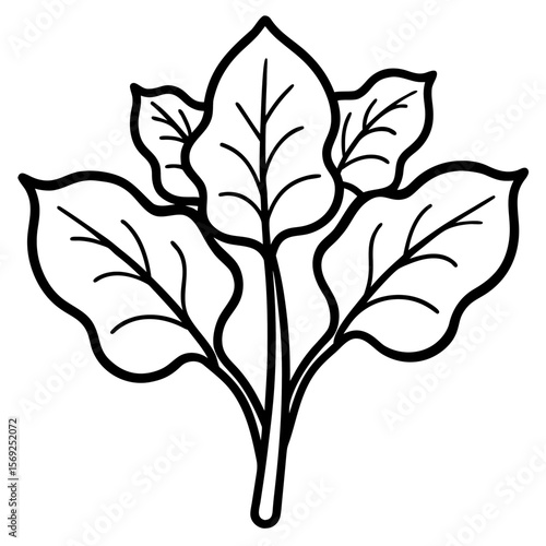 Malabar spinach  vegetable vector perfect for healthy food, farm, eco, and organic-themed digital design projects.