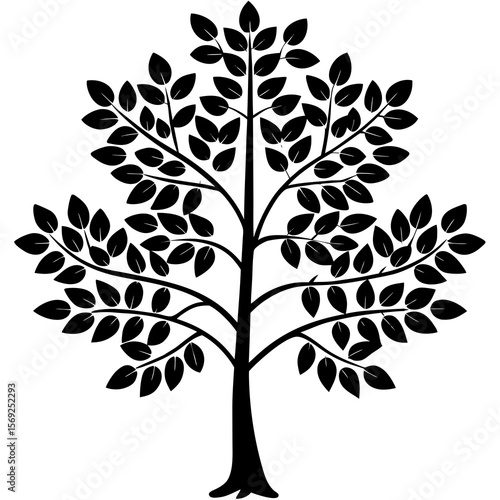 Moringa  vegetable vector perfect for healthy food, farm, eco, and organic-themed digital design projects.