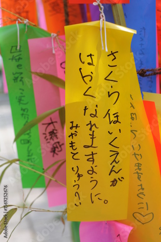 Tanabata festival (Star Festival) in Japan. Colorful paper tags called tanzaku with written wishes hanging on bamboo branches in summer.