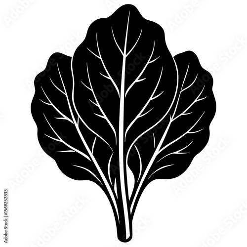 Spinach  vegetable vector perfect for healthy food, farm, eco, and organic-themed digital design projects.