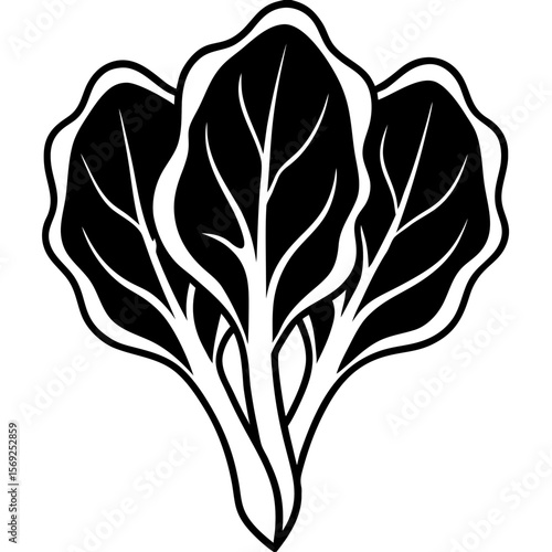 Spinach  vegetable vector perfect for healthy food, farm, eco, and organic-themed digital design projects.