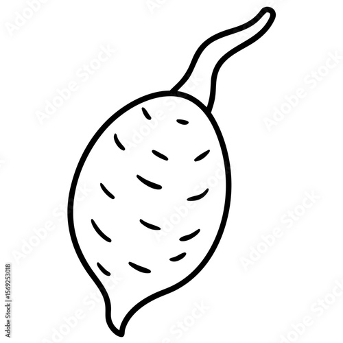 Taro root vegetable vector perfect for healthy food, farm, eco, and organic-themed digital design projects.
 