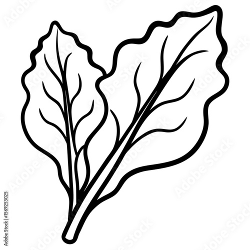 Swiss chard  vegetable vector perfect for healthy food, farm, eco, and organic-themed digital design projects.