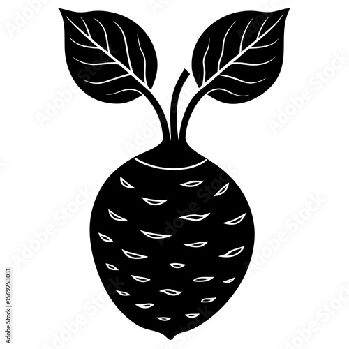Taro root vegetable vector perfect for healthy food, farm, eco, and organic-themed digital design projects.
 