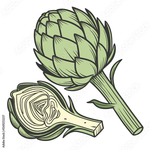 Artichoke  vegetable vector perfect for healthy food, farm, eco, and organic-themed digital design projects.