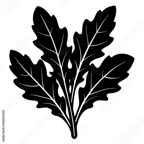 Arugula  vegetable vector perfect for healthy food, farm, eco, and organic-themed digital design projects.