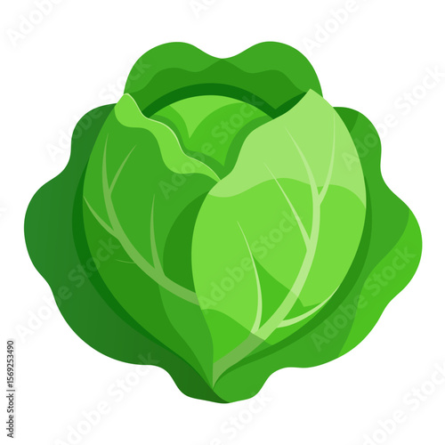 Cabbage  vegetable vector perfect for healthy food, farm, eco, and organic-themed digital design projects.