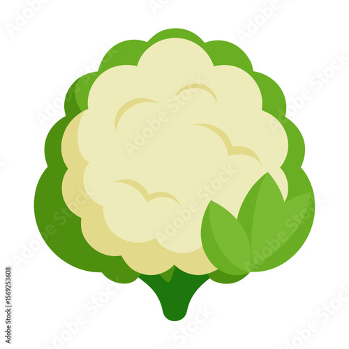 Cauliflower  vegetable vector perfect for healthy food, farm, eco, and organic-themed digital design projects.