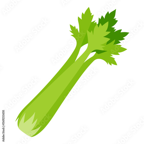 Celery vegetable vector perfect for healthy food, farm, eco, and organic-themed digital design projects.