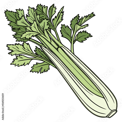 Celery vegetable vector perfect for healthy food, farm, eco, and organic-themed digital design projects.