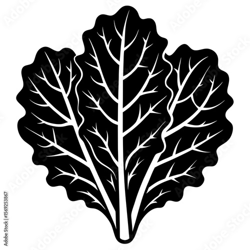 Kale vegetable vector perfect for healthy food, farm, eco, and organic-themed digital design projects.