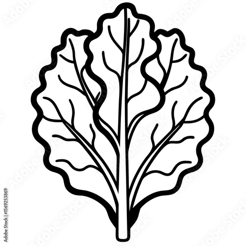 Kale vegetable vector perfect for healthy food, farm, eco, and organic-themed digital design projects.