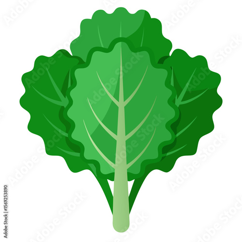 Kale vegetable vector perfect for healthy food, farm, eco, and organic-themed digital design projects.