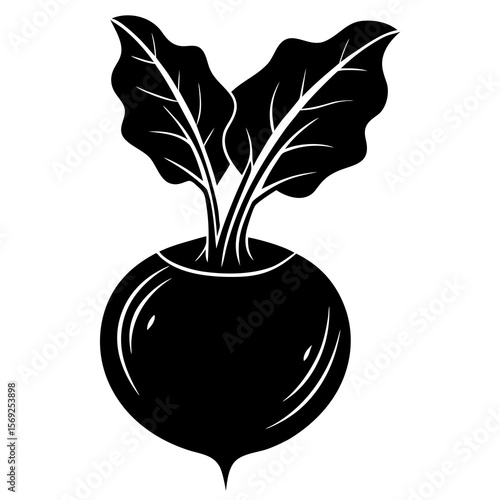 Kohlrabi  vegetable vector perfect for healthy food, farm, eco, and organic-themed digital design projects.