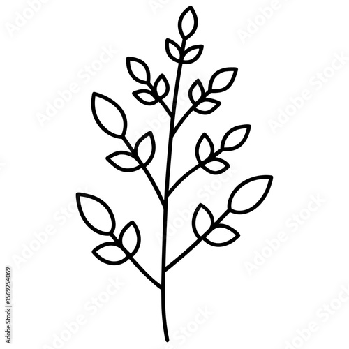 Moringa  vegetable vector perfect for healthy food, farm, eco, and organic-themed digital design projects.