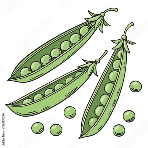 Peas vegetable vector perfect for healthy food, farm, eco, and organic-themed digital design projects.