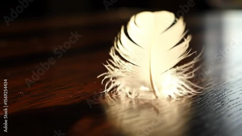 AI Generated Video - A feather on a table with a blurred background