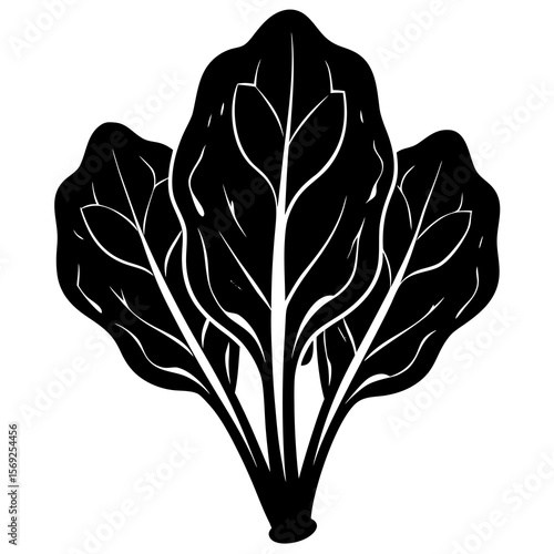 Spinach  vegetable vector perfect for healthy food, farm, eco, and organic-themed digital design projects.