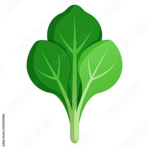 Spinach  vegetable vector perfect for healthy food, farm, eco, and organic-themed digital design projects.