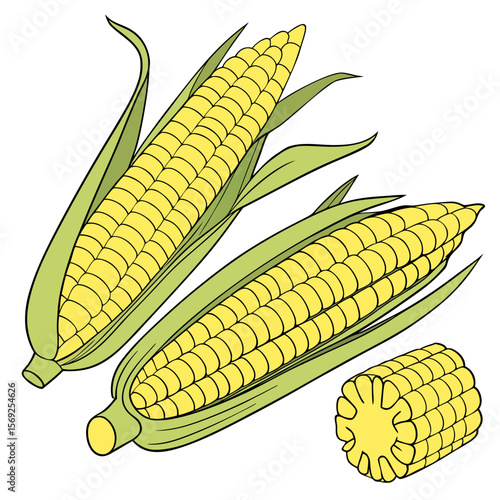 Sweet corn vegetable vector perfect for healthy food, farm, eco, and organic-themed digital design projects.