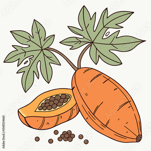 Sweet potato vegetable vector perfect for healthy food, farm, eco, and organic-themed digital design projects.